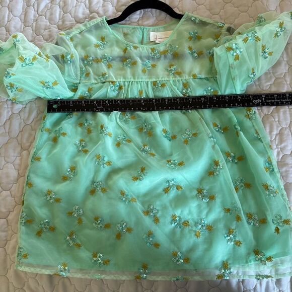 Sz 2P Anthropologie Mint Green Floral Embroidered Sheer Blouse - Picture 3 of 7